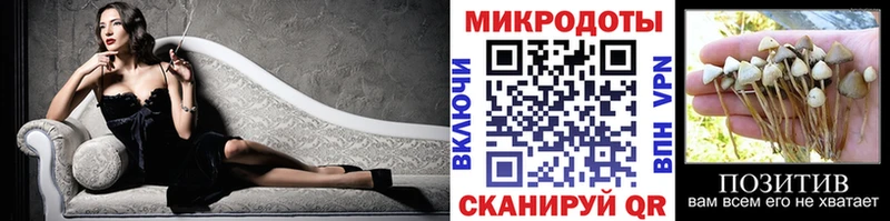 Галлюциногенные грибы Psilocybe Купить Полярные Зори