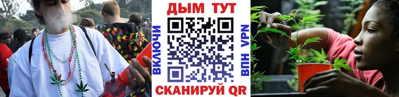 Купить  Полярные Зори  Канабис сатива 